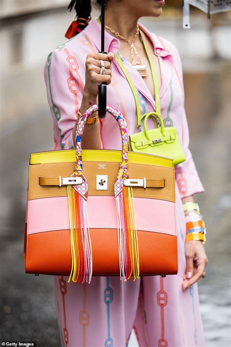 hermès birkin bags lawsuit|hermes class action lawsuit.